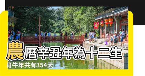 97年屬什麼|十二生肖年份對照表，十二生肖屬相查詢，十二屬相與年份對照表…